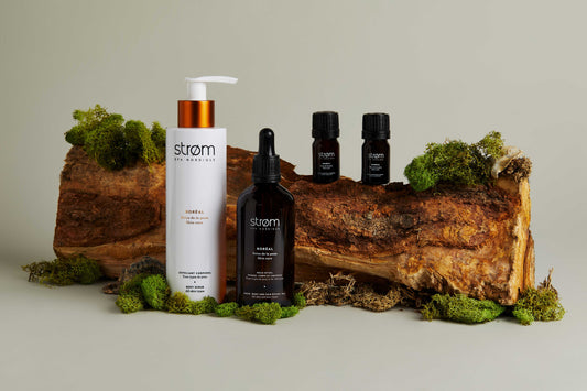 Coffret BORÉAL soins du corps