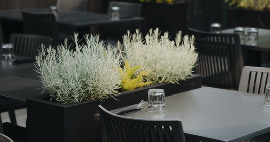 Le restaurant Nord participe à l’évènement Sherbrooke met la table