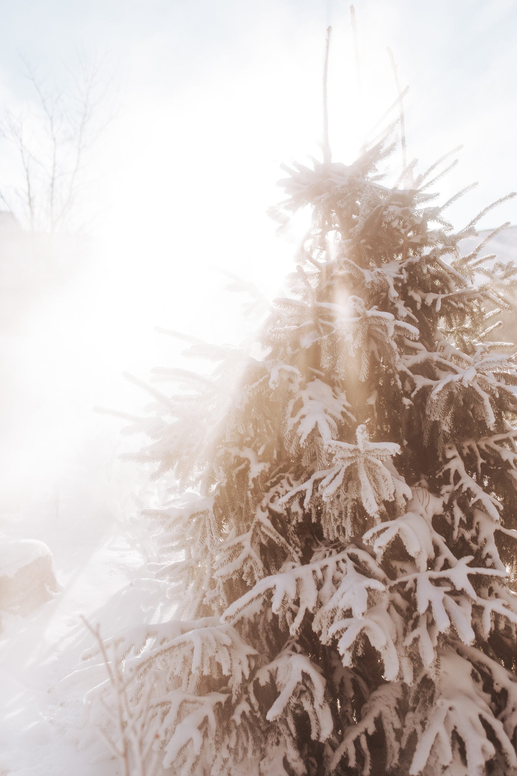 L’hiver et l’urbanité