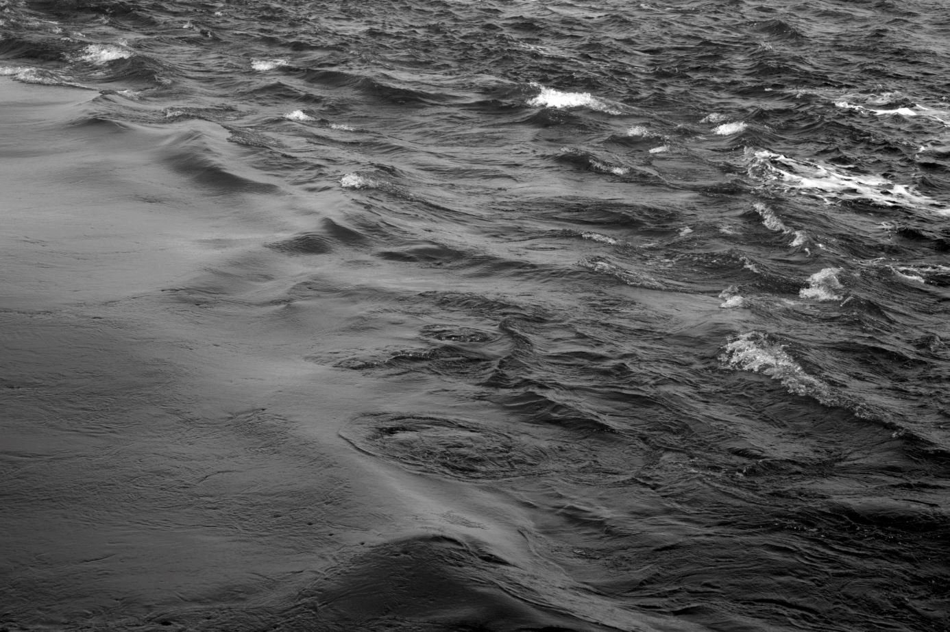 Le langage de la rive