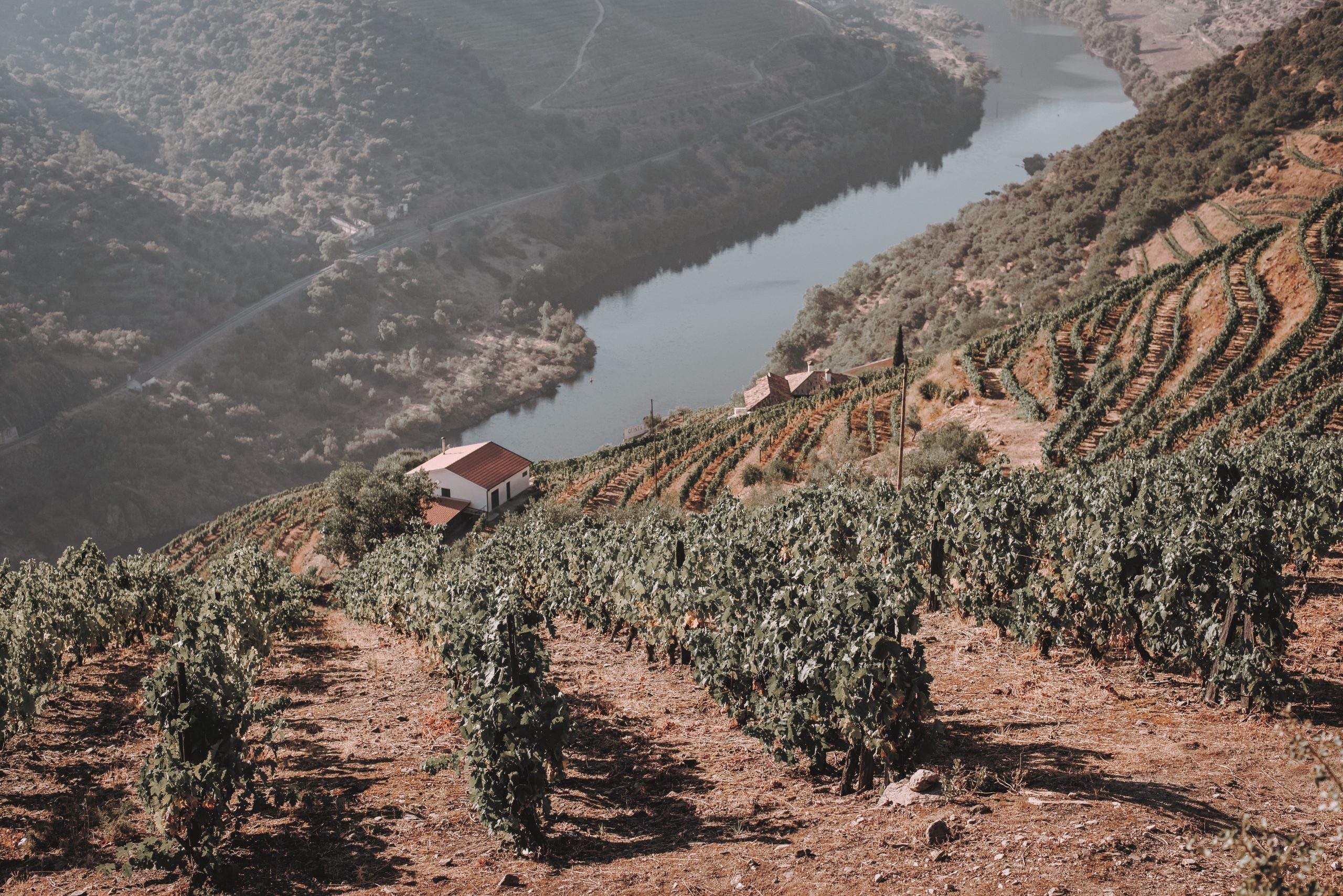 La saison des vendanges